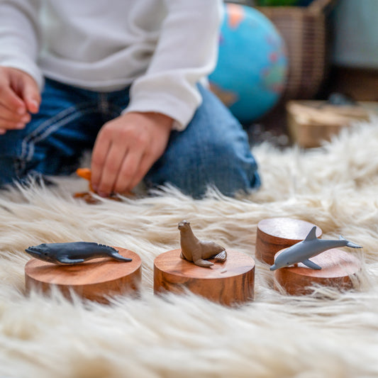 Wooden Sensory Stacking Bowls – Montessori Nesting Toy for Toddlers