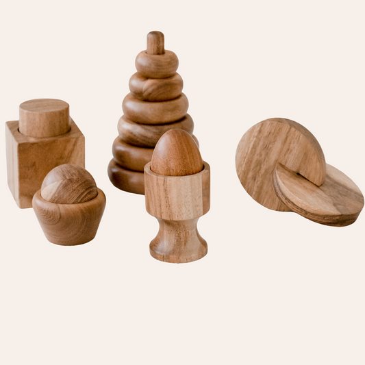 Montessori Starter Set – Wooden Toy Kit for Fine Motor & Early Learning