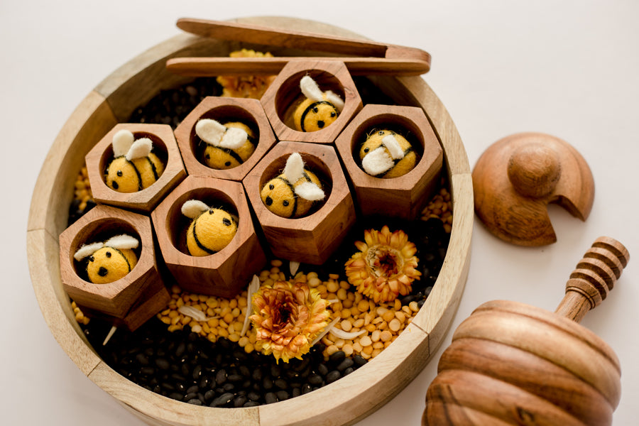 Montessori Wooden Beehive Sorting Toy