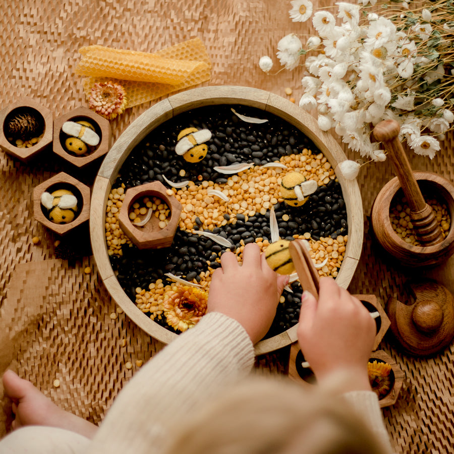 Montessori Wooden Beehive Sorting Toy