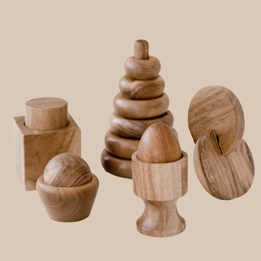 Montessori Starter Set – Wooden Toy Kit for Fine Motor & Early Learning